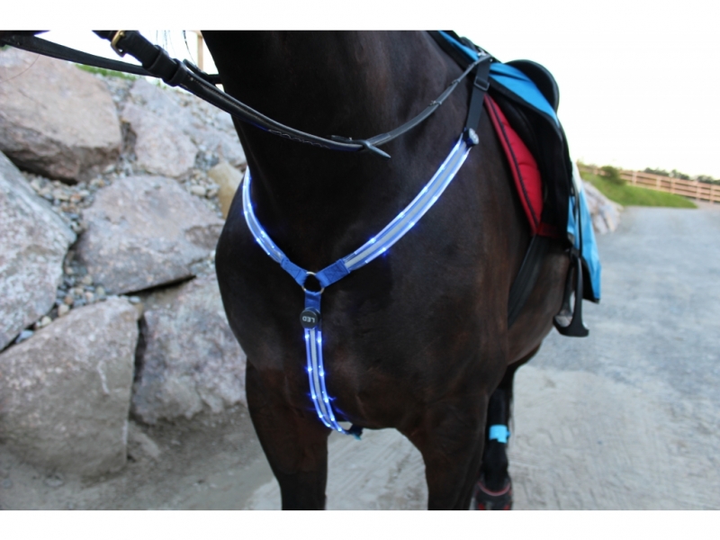 Pferdegeschirr USB aufladbar Reflektoren Vorderzeug *NEU* LED Brustgeschirr 