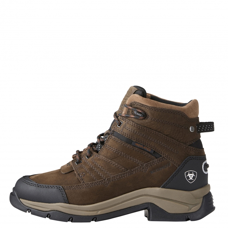 ariat terrain pro h20 insulated